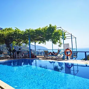 book here